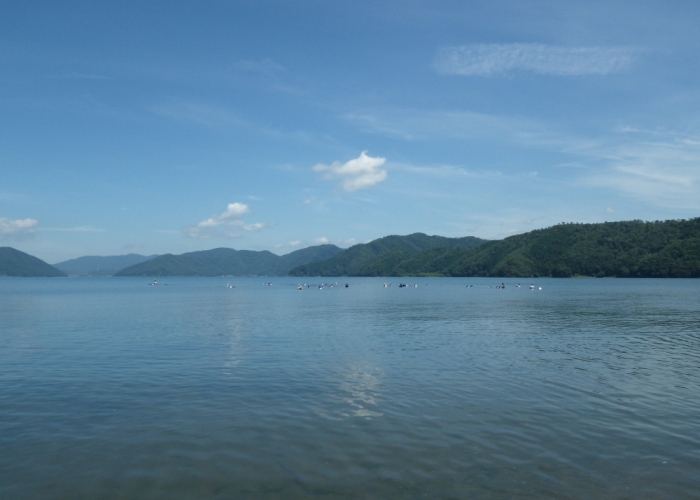 琵琶湖の中をのぞいてみると…